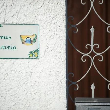 Domus Lavinia *